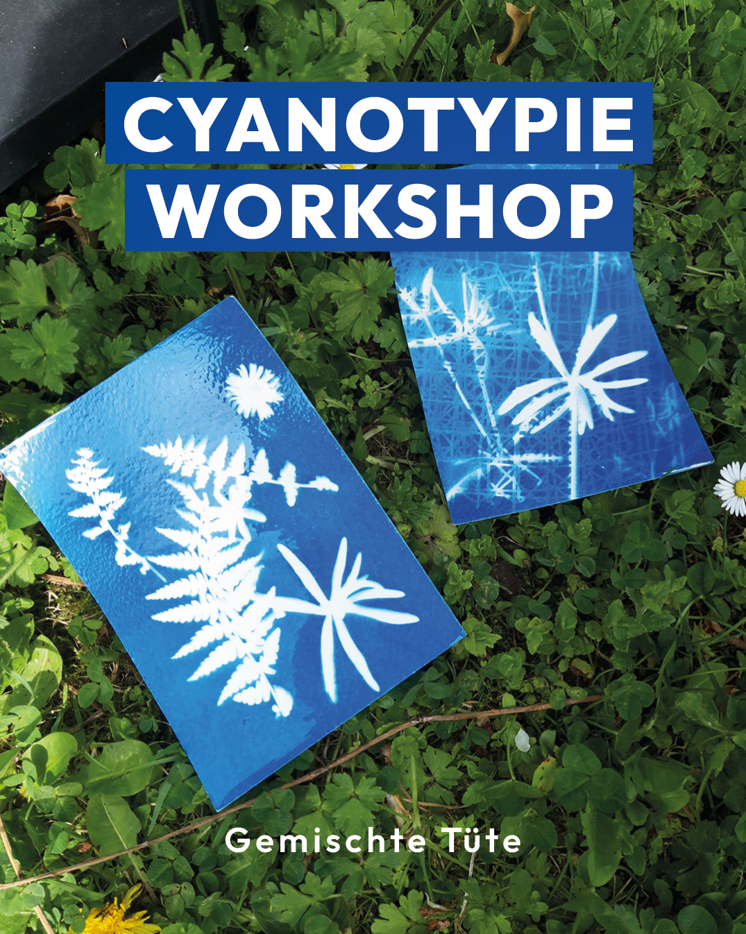 Titelbild Cyanotypie-Workshop