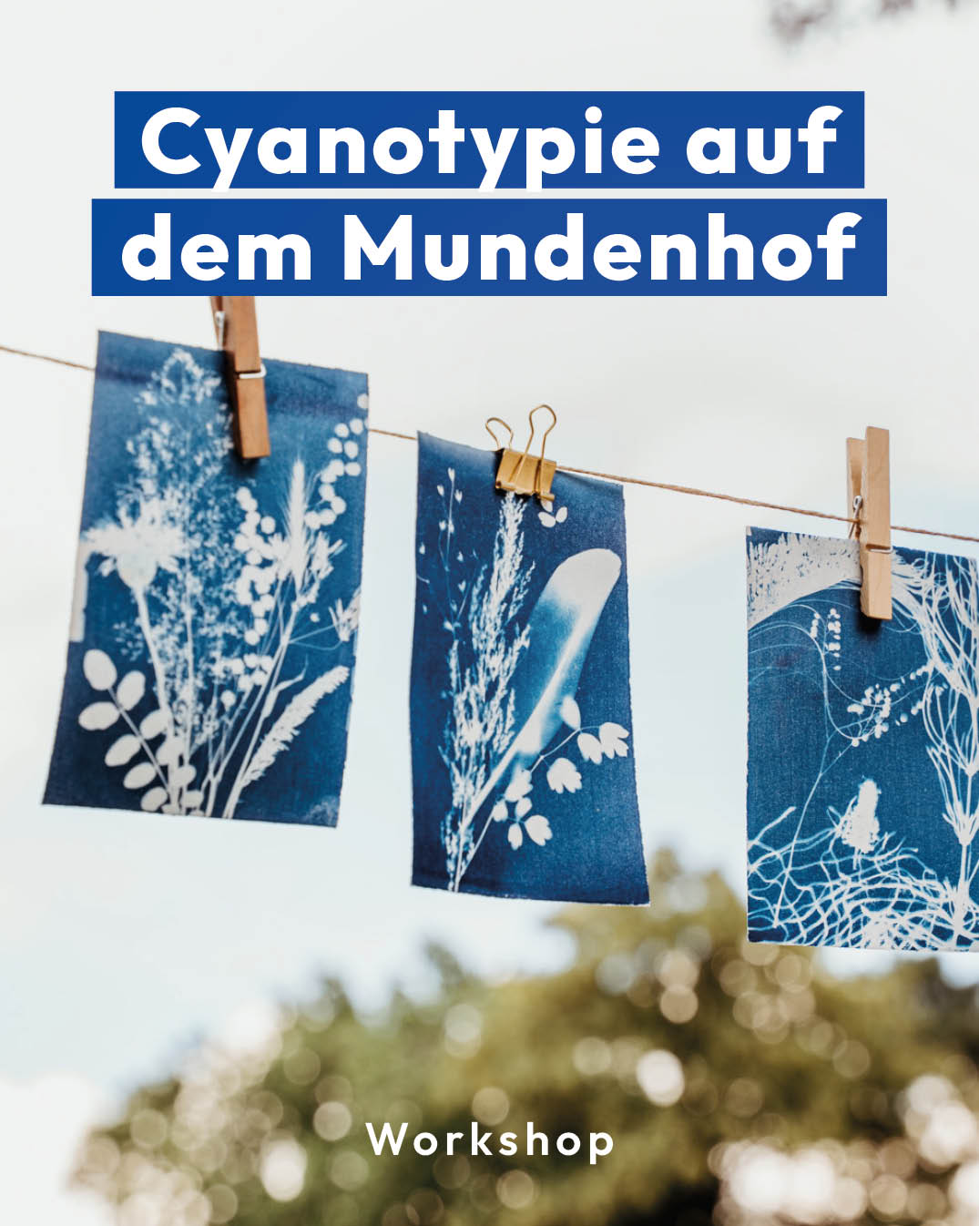 Titelbild Cyanotypie am Mundenhof